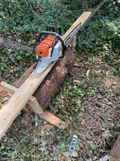 Chainsaw milling a Madrona log